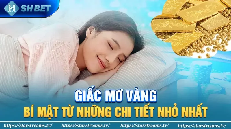 Giấc mộng vàng: Điềm báo thịnh vượng bất ngờ? 3 Giấc Mơ Vàng: Bí Mật Từ Những Chi Tiết Nhỏ Nhất